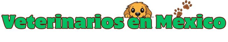 Directorios de Veterinarias en México